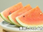 【裏技】スイカの一番甘～い♪　美味しい部分を均等に切る方法