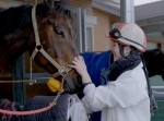 “１８歳の女性ジョッキー”藤田菜七子がデビュー３６戦目で初勝利！