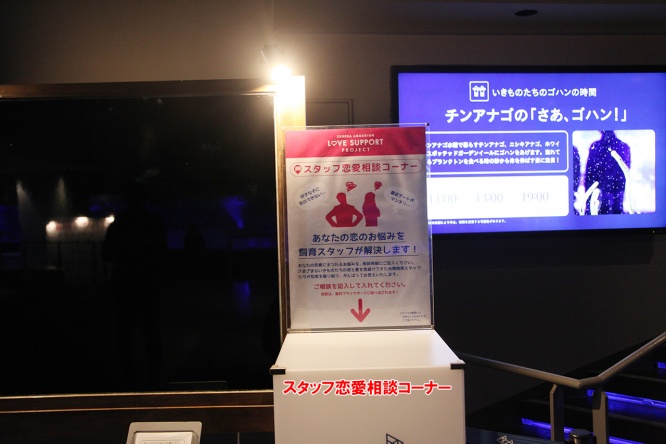 スタッフ恋愛相談