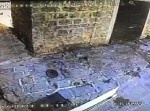 【衝撃】猫がハトを捕まえる瞬間が怖ぇぇぇぇっ…