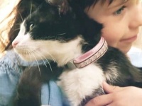 猫「パパ、ママ、こっちを見て！」おうちに赤ちゃんがやって来た！ちょっぴり寂しい猫と窓のストーリー他