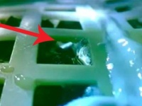 枯れちっち。史上初の月面で発芽した植物が枯れてしまった件。寒すぎる月の夜が原因