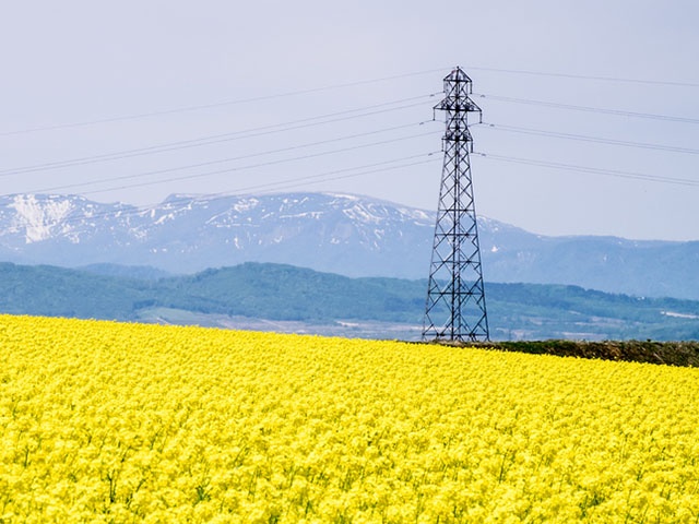 田舎の風景