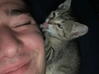 「子猫を保護しました。今となっては大親友」子猫と一緒に写真を撮影した男性はやっぱりヒゲが生えているっぽい