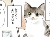 遠い目をする猫は何を考えてるの？　⇒まさかの〝真実〟発覚で「最後わろた」「オチに吹いた」