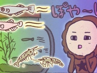 アレな生態系日常漫画「いぶかればいぶかろう」第26回：カニが星になり、ぽっかり空いた水槽に新たなる仲間が！