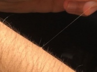 1本だけ長い体毛が生えてることあるよね。あれってなんでなん？