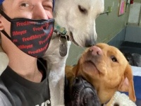 犬のデイケア施設で仕事を始めたよ！犬を愛する男性が撮った犬に囲まれセルフィーが話題に