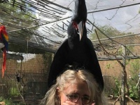 女性の肩に鎮座するヤシオウム先輩が闇属性の怪鳥モードに突入していた件