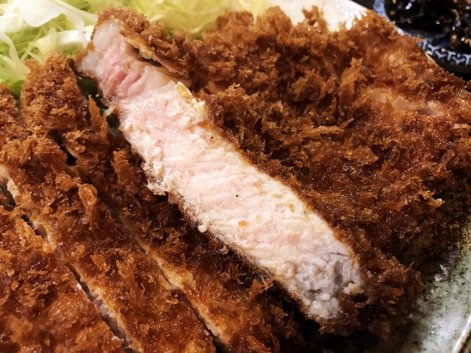 hatoba-tonkatsu1
