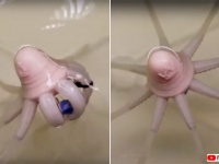 すごく...タコです。タコそっくりに動くロボットが開発される（英研究）