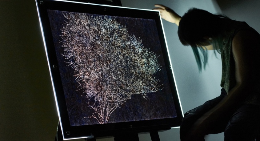 株式会社ローズクリエイトのプレスリリース画像