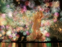 投稿写真と同じ「彩色千輪」（実行委のホームページから）