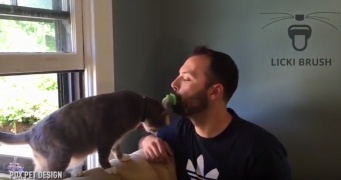 ネコと飼い主の絆を深める、毛づくろい専用「舐めブラシ」登場！