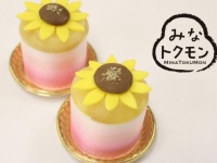 「港ひまわりケーキ」