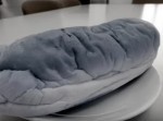 無理やり！　給食の時間に“カビパン”を食べさせられた