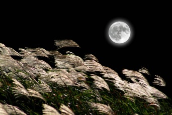巡り巡って満月タイム。9月の満月は中秋の名月と同じ21日にやってくる！