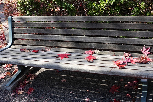 広島大学は紅葉の名所（hu albumさん撮影、flickrより）