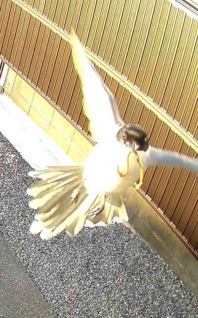 別ショットでもカメラ目線を外さない