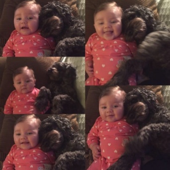 自分の命と引き換えに・・・赤ちゃんの命を火事から守ったワンコ