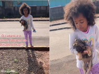 少女にお使いを頼んだらミルクの代わりに子犬をつれて帰ってきた。その理由に感動し犬は家族となる