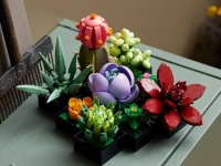 枯れないしおしゃれ！組み合わせ自在の9種の多肉植物がLEGOブロックに登場