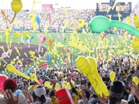 おかしくて愛すべき甲子園の阪神ファンたち