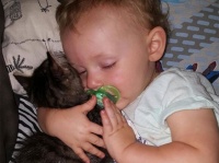 抱き合って眠るの。一家に救われた猫は毎日赤ちゃんの添い寝役をかって出た