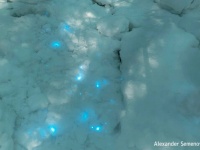雪が光る謎の現象がロシアの北極圏で目撃される。その正体は？