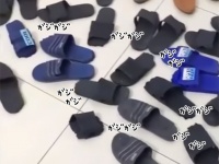 家中のサンダルがすべて食いちぎられていた！犯人は誰？と追及する飼い主に対する2匹の犬の反応