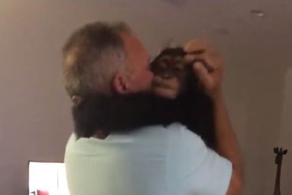 大好きな人間のお母さんとお父さん。その愛情は深く刻まれていた。チンパンジーの子、育ての親との再会に大感激！