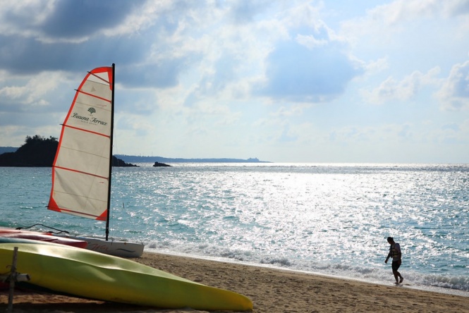 画像はイメージです