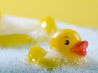 結婚後もラブラブ♪　妻と一緒にお風呂に入る男性●％