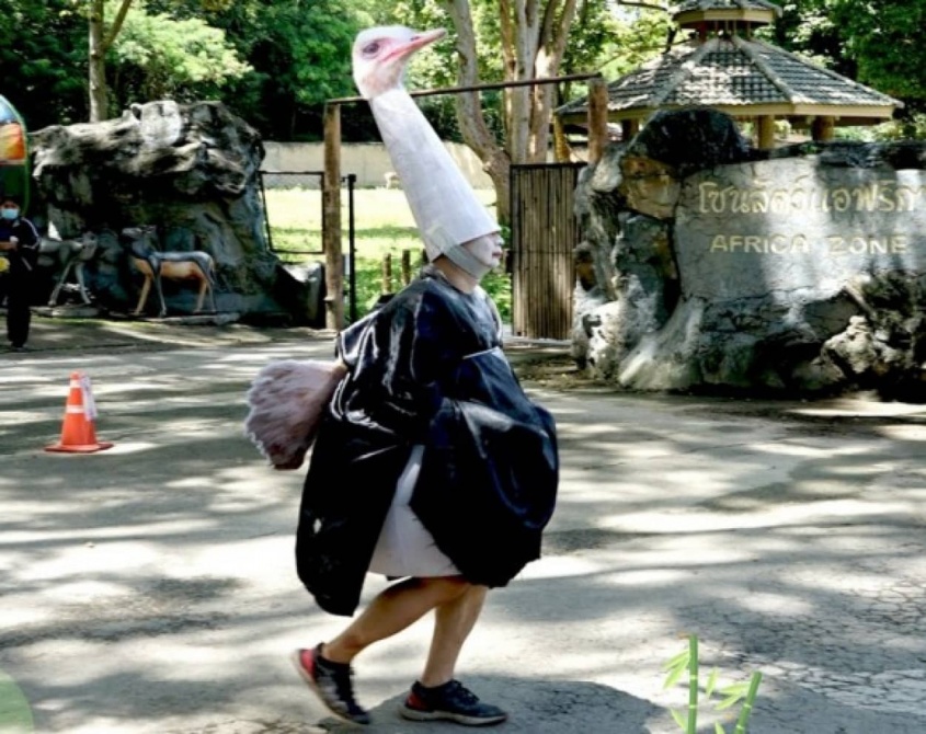 なんかかわいい！タイの動物園でダチョウに扮した飼育員が脱出対応訓練