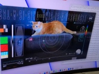 3100万km離れた宇宙から猫動画をレーザー通信で地球に送信し受信に成功（NASA）