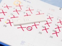 生理中のセックスは妊娠しないってホント？