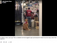 介助犬が必要な男性がホームセンターに求職→ホームセンター「介助犬も一緒に採用しよう！」ワンコも従業員に