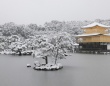 雪の金閣寺2010。写真はイメージです（Kenichiro Nakazawaさん撮影,Flickrより）