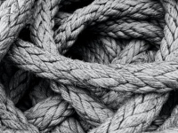 蛇の夢を見た時に「してはいけないこと」とは？