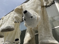 「近所の人びっくりしそう」「どんなお家かｗｗｗ」　リアルシロクマ着ぐるみの「乾燥中のすがた」がシュールすぎる件