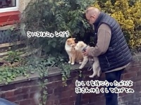 やさしい世界。お父さんが新しく家族になった子犬を近所の猫に紹介「仲良くしてあげてね」