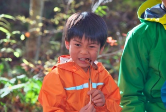 株式会社星野リゾートのプレスリリース画像