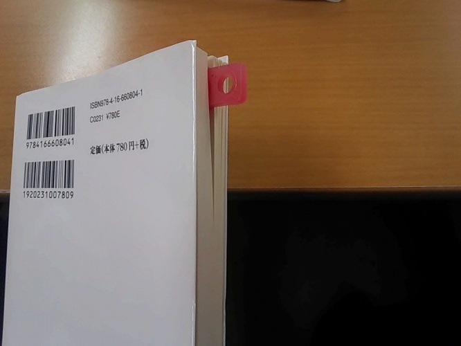 しおり。それらしくサマになっているが...