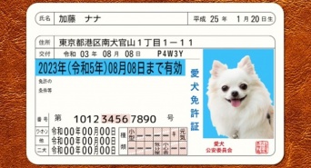 Daydream Labのプレスリリース画像
