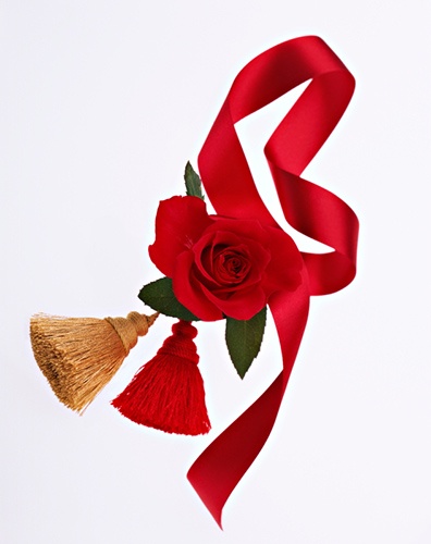 柴原　薫のプレスリリース画像