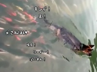 犬、水中の覇者となる。魚の群れを従わせながら泳ぐ犬の王