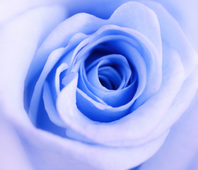 iStock_000004966038_Small