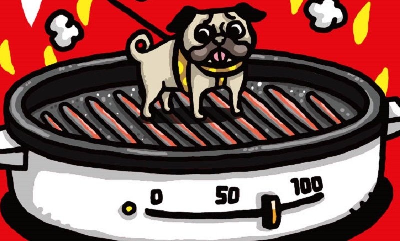 真夏のお散歩は「こういうこと？」　動物病院で掲示されてる「ホットドッグ警報」が衝撃的