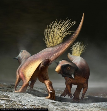 恐竜のお尻の穴の秘密が明らかに！プシッタコサウルスのお尻の詳細な復元に成功（英研究）
