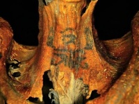 3000年前の呪術師だった可能性。奇妙なタトゥーの入った女性のミイラの正体が明らかに（エジプト）